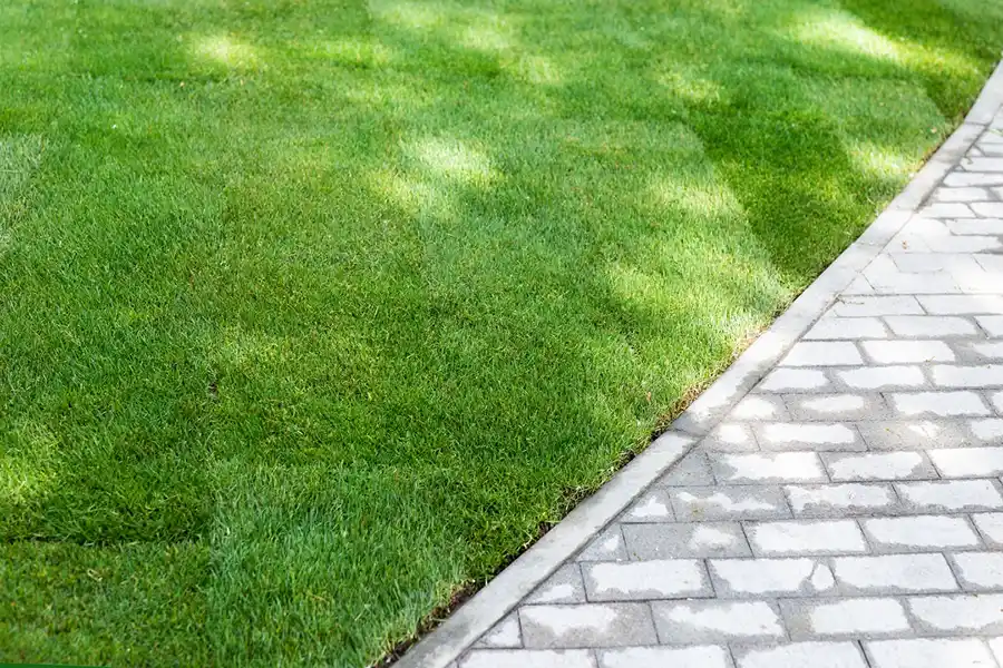 Reliable Adilsar Garden & Tree Care's other services Adilsar Garden & Tree Care's other services