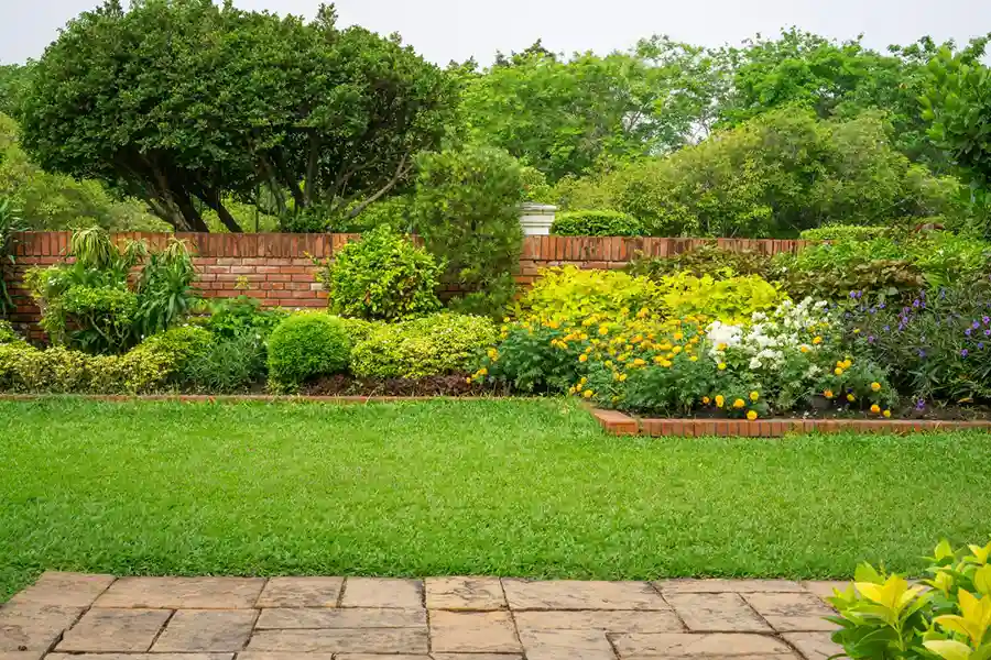 Reliable Landscaper in Novato, CA