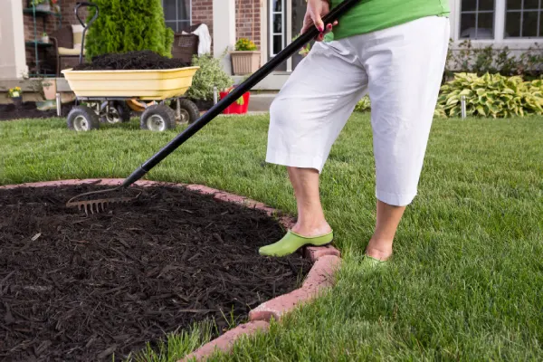 Common Mulching Mistakes And How To Avoid Them Novato, CA Common Mulching Mistakes And How To Avoid Them Novato, CA