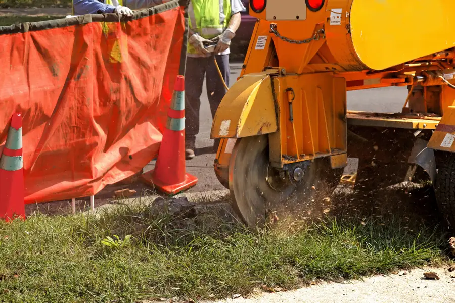 Excellent Stump Grinding Novato, CA Excellent Stump Grinding Novato, CA