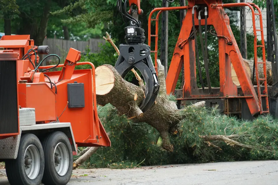 Expert Tree Service Novato, CA Expert Tree Service Novato, CA