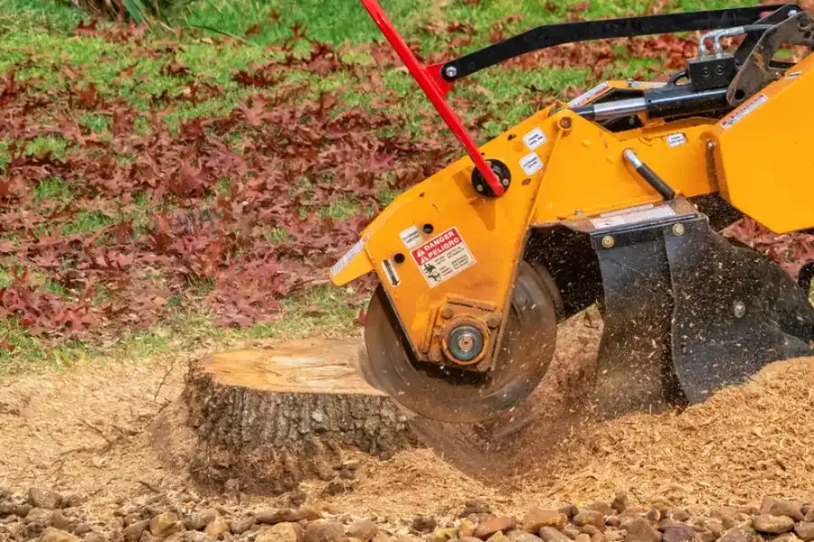 Local Stump Grinding Novato, CA Local Stump Grinding Novato, CA