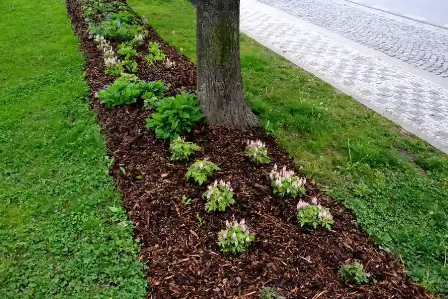 Reputable Mulching Novato, CA Reputable Mulching Novato, CA