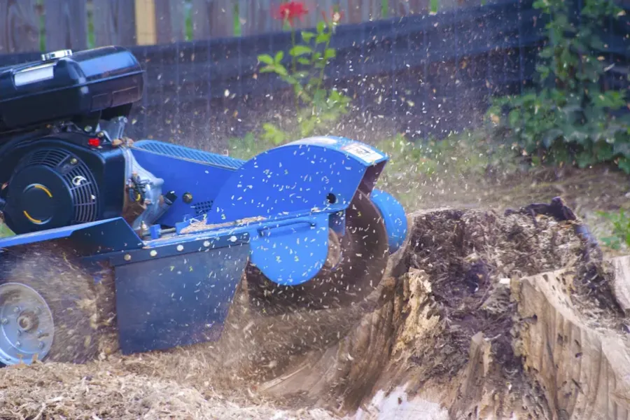 Superior Stump Grinding Novato, CA Superior Stump Grinding Novato, CA