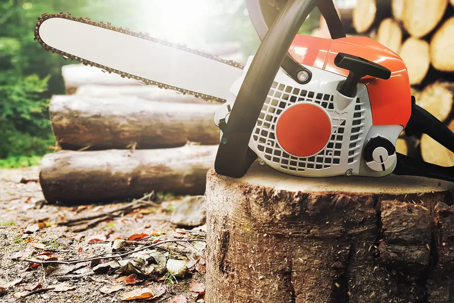 The Role Of Tree Services In Fire Prevention Planning in Novato, CA The Role Of Tree Services In Fire Prevention Planning in Novato, CA