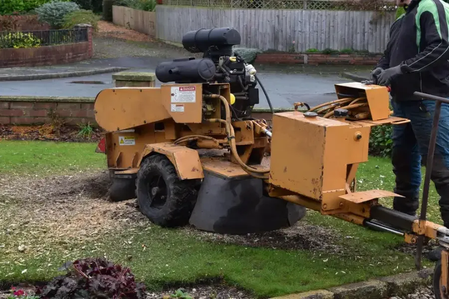 Understanding The Benefits Of Professional Stump Grinding Novato, CA Understanding The Benefits Of Professional Stump Grinding Novato, CA